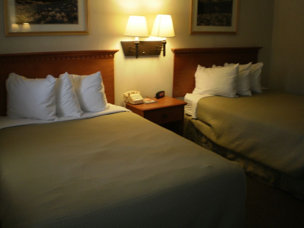 Magnuson Hotel Ely Rum bild