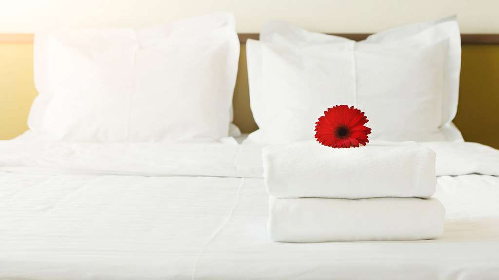 Magnuson Hotel Ely Rum bild